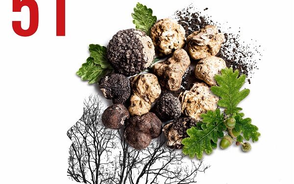 51° Fiera Nazionale del tartufo bianco pregiato ad Aqualagna
